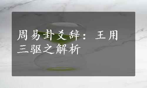 周易卦爻辞：王用三驱之解析