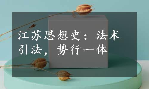 江苏思想史：法术引法，势行一体