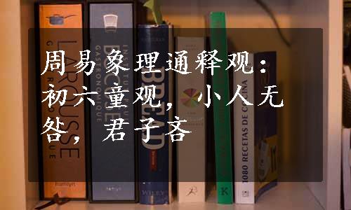 周易象理通释观：初六童观，小人无咎，君子吝