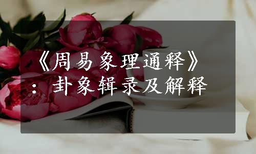 《周易象理通释》：卦象辑录及解释