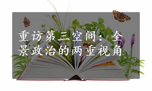 重访第三空间：全景政治的两重视角