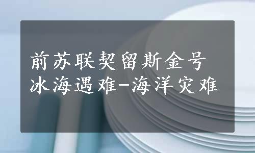 前苏联契留斯金号冰海遇难-海洋灾难