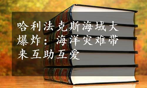 哈利法克斯海域大爆炸：海洋灾难带来互助互爱