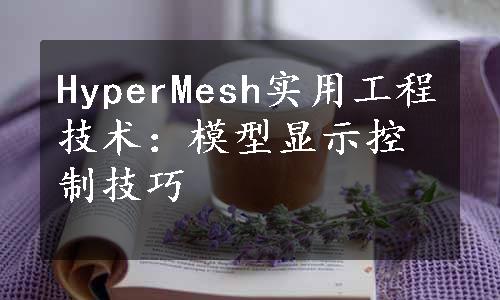 HyperMesh实用工程技术：模型显示控制技巧