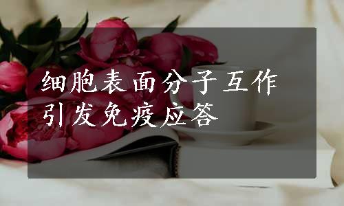 细胞表面分子互作引发免疫应答