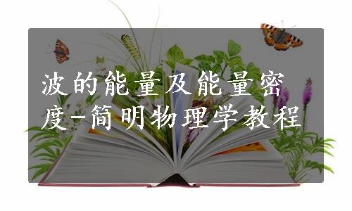 波的能量及能量密度-简明物理学教程