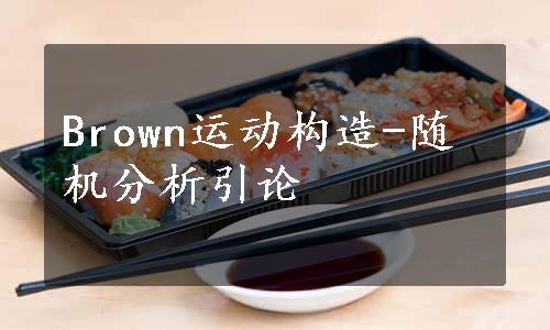 Brown运动构造-随机分析引论