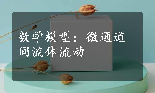 数学模型：微通道间流体流动