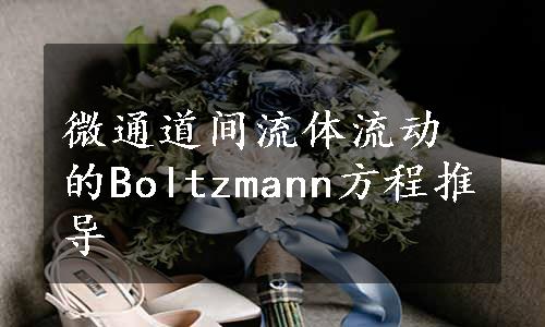 微通道间流体流动的Boltzmann方程推导