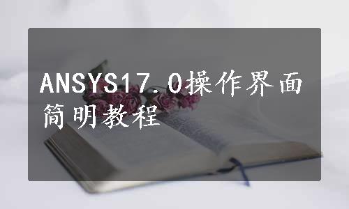 ANSYS17.0操作界面简明教程