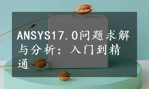 ANSYS17.0问题求解与分析：入门到精通