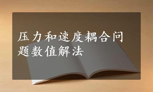 压力和速度耦合问题数值解法