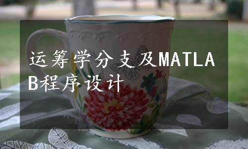 运筹学分支及MATLAB程序设计