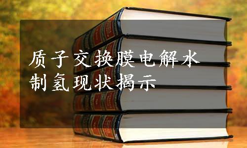 质子交换膜电解水制氢现状揭示