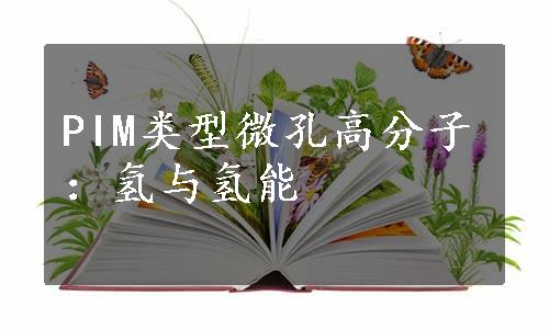 PIM类型微孔高分子：氢与氢能