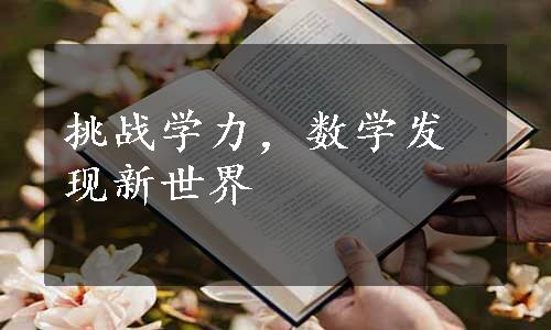 挑战学力，数学发现新世界