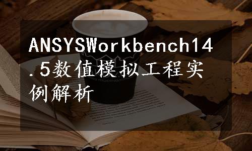 ANSYSWorkbench14.5数值模拟工程实例解析