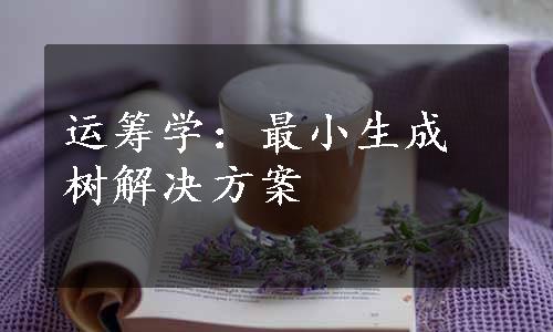 运筹学：最小生成树解决方案