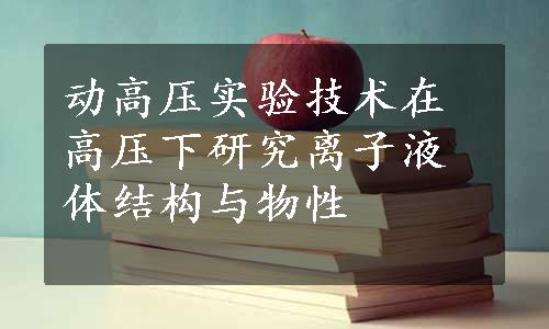 动高压实验技术在高压下研究离子液体结构与物性