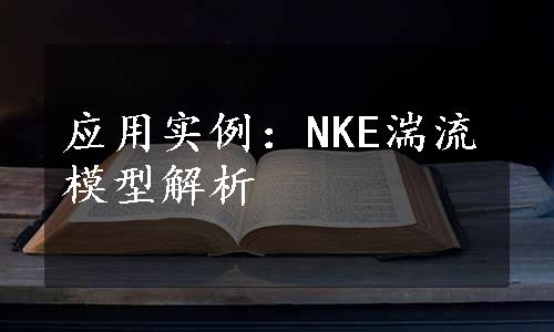 应用实例：NKE湍流模型解析