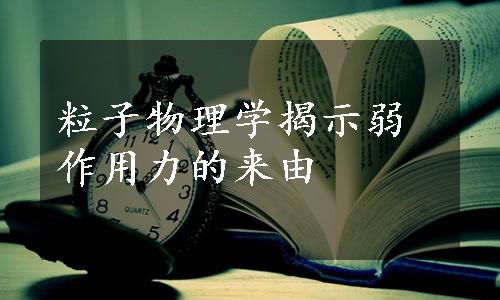 粒子物理学揭示弱作用力的来由