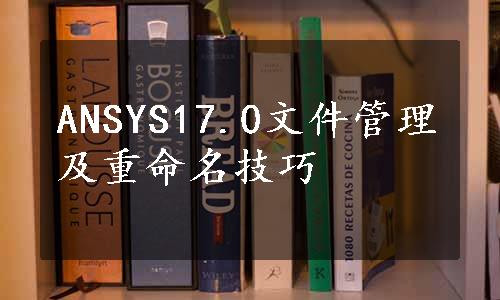 ANSYS17.0文件管理及重命名技巧