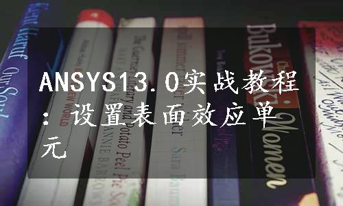 ANSYS13.0实战教程：设置表面效应单元