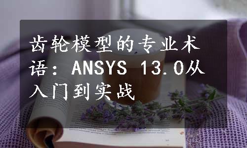 齿轮模型的专业术语：ANSYS 13.0从入门到实战