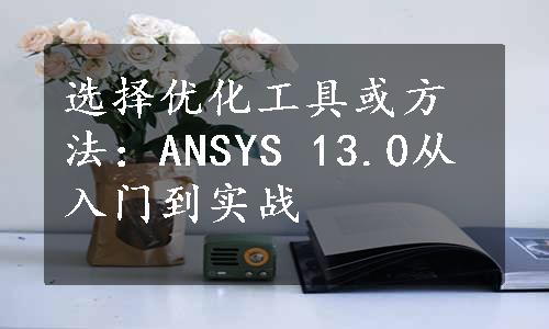 选择优化工具或方法：ANSYS 13.0从入门到实战