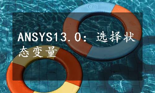 ANSYS13.0：选择状态变量