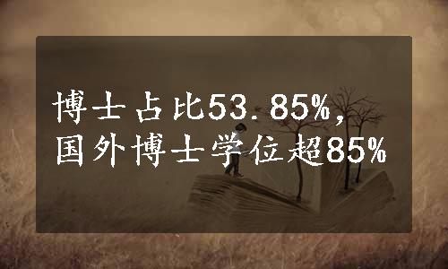 博士占比53.85%，国外博士学位超85%