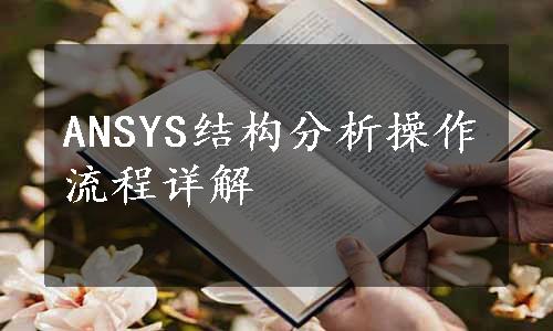 ANSYS结构分析操作流程详解