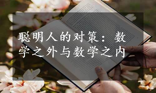 聪明人的对策：数学之外与数学之内