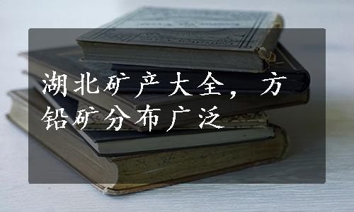 湖北矿产大全，方铅矿分布广泛