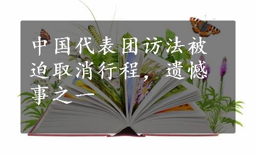 中国代表团访法被迫取消行程，遗憾事之一