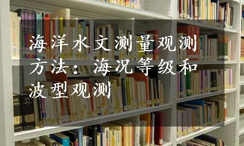 海洋水文测量观测方法：海况等级和波型观测