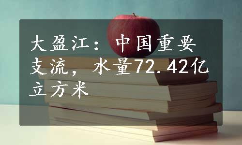 大盈江：中国重要支流，水量72.42亿立方米