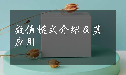 数值模式介绍及其应用