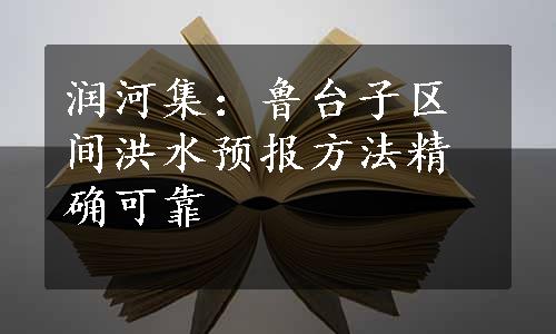 润河集：鲁台子区间洪水预报方法精确可靠