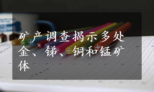 矿产调查揭示多处金、锑、铜和锰矿体