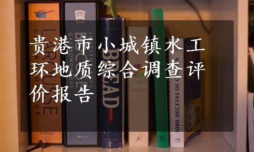 贵港市小城镇水工环地质综合调查评价报告