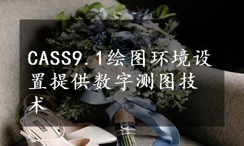 CASS9.1绘图环境设置提供数字测图技术