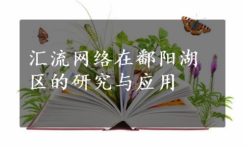 汇流网络在鄱阳湖区的研究与应用