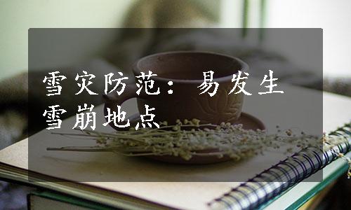 雪灾防范：易发生雪崩地点