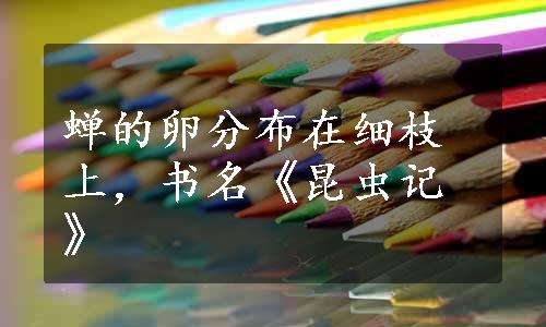 蝉的卵分布在细枝上，书名《昆虫记》