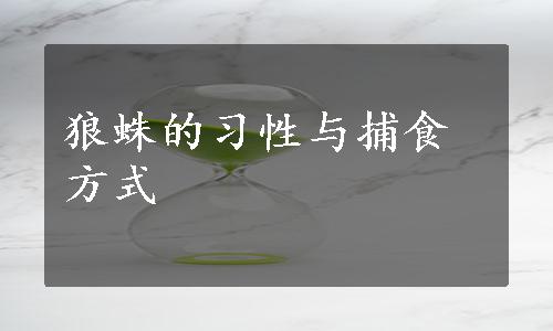 狼蛛的习性与捕食方式