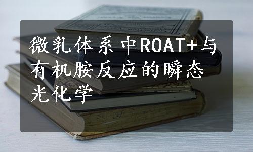 微乳体系中ROAT+与有机胺反应的瞬态光化学