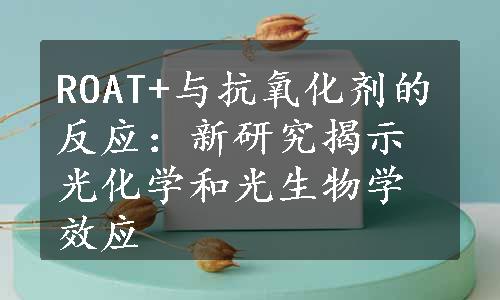 ROAT+与抗氧化剂的反应：新研究揭示光化学和光生物学效应