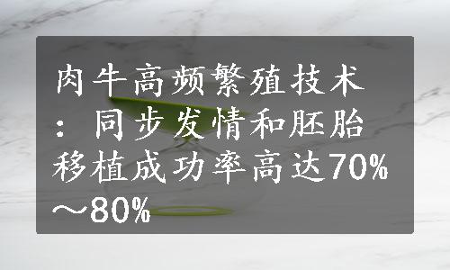 肉牛高频繁殖技术：同步发情和胚胎移植成功率高达70%～80%