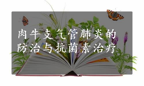 肉牛支气管肺炎的防治与抗菌素治疗